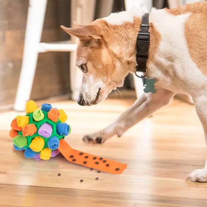 Pet Snuffle Ball Toy