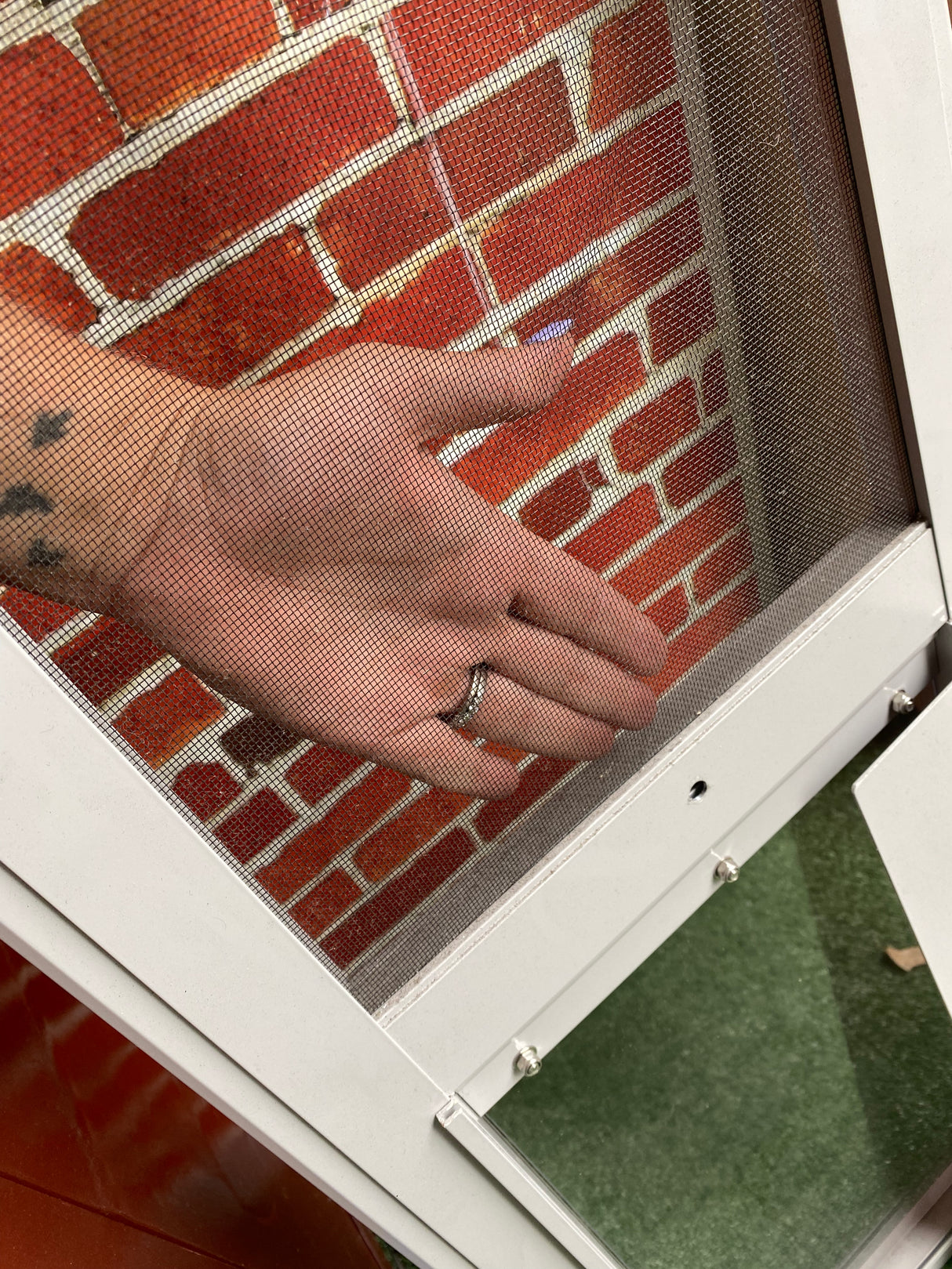 Large Grey Pet door with a Screen door mesh - Demo Model - LAST ONE