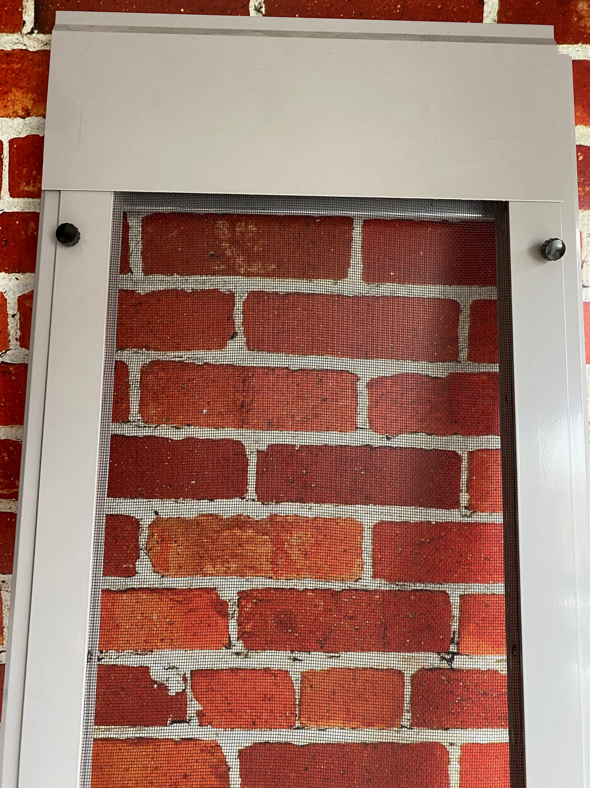 Large Grey Pet door with a Screen door mesh - Demo Model - LAST ONE