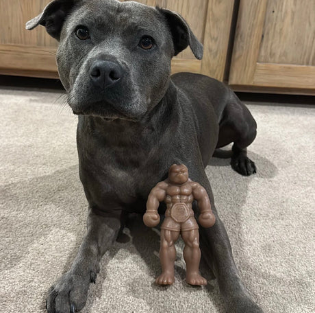 STAFFY BALBOA
