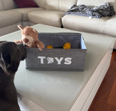 Toy Storage Box