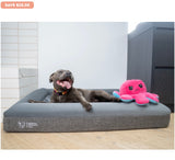 Deluxe Orthopedic Memory Foam Bed,  Large