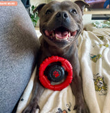 Power Chew Wheel