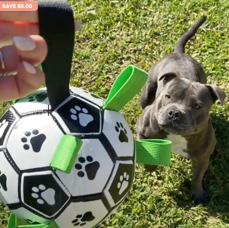 Ronaldog Soccer Ball