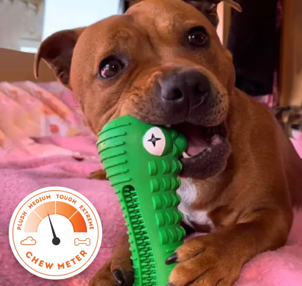 Crocodile Dental Chew