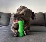 Crocodile Dental Chew