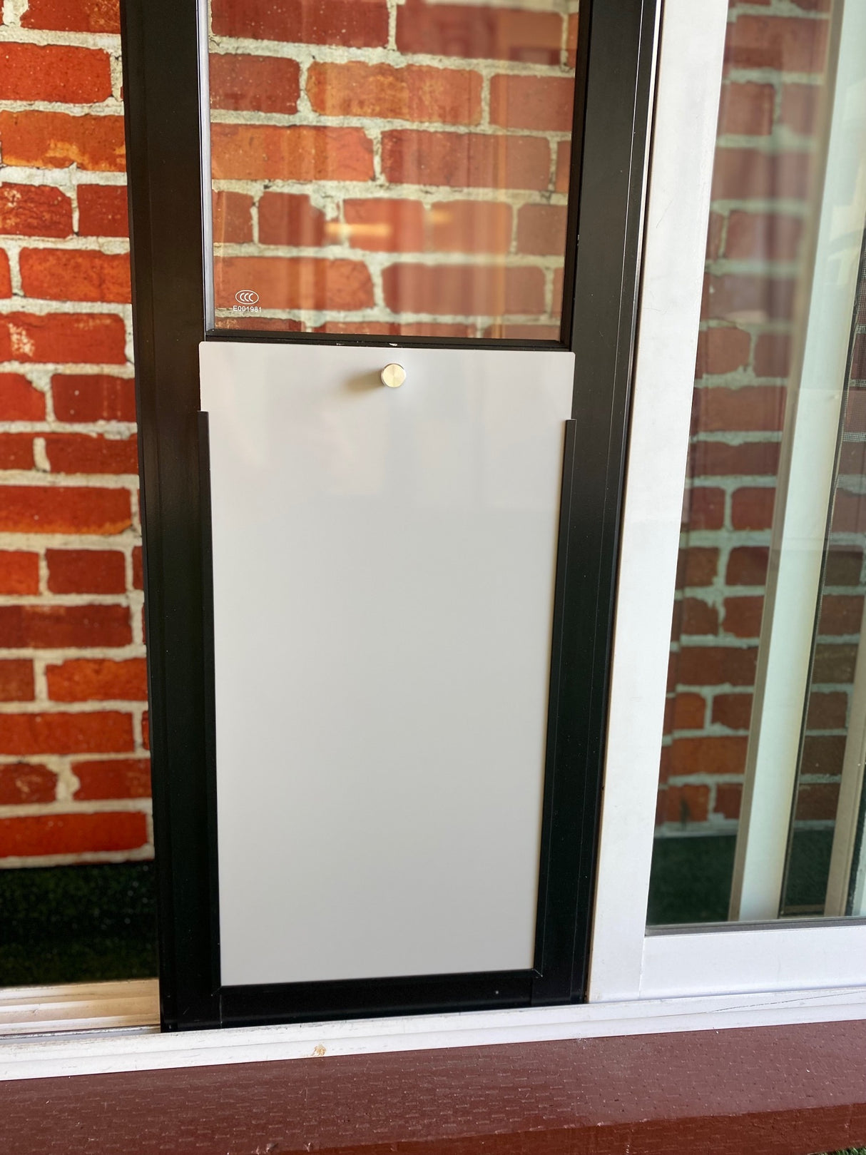 Pet Door Insert – St Bernard