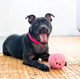 POPPY PIG TREAT DISPENSER