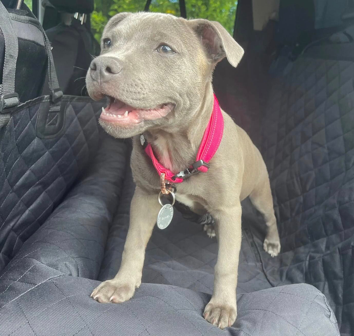 PREMIUM CAR SEAT PROTECTOR