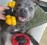 Power Chew Phone