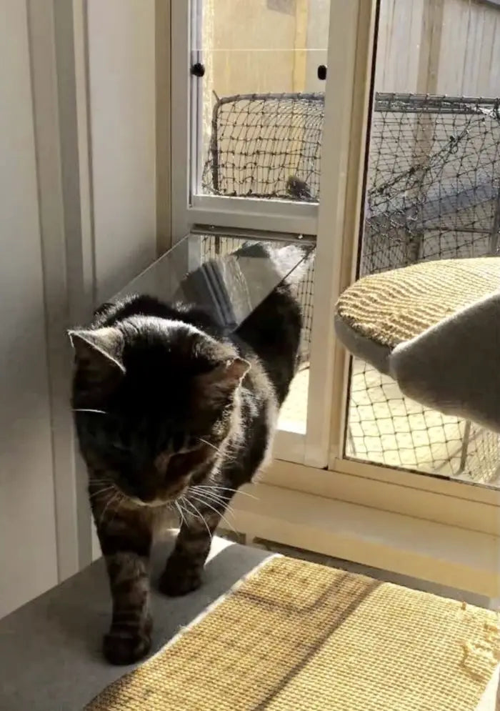 Cat Door, Cat Window Insert