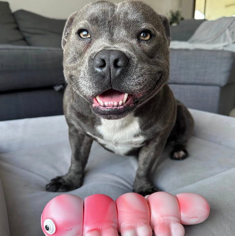 TOUGH WIGGLE WORM