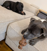 The Staffinator *** NEW ***