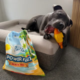 PowerFlex™ Beach Trip (5 Toys included)