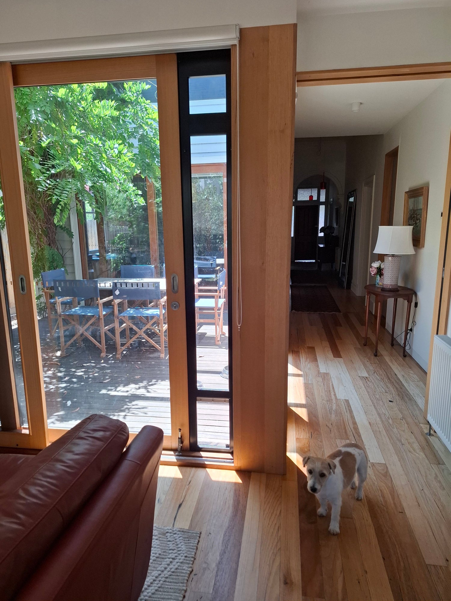 Pet Door Insert – Medium