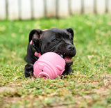 POPPY PIG TREAT DISPENSER