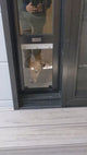 Pet Door Insert – Medium