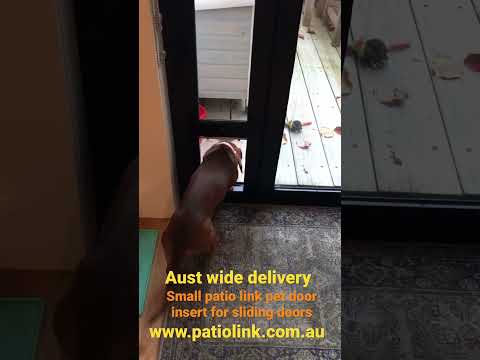 Pet Door Insert – Small