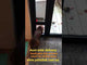 Pet Door Insert – Small