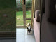 Pet Door Insert – Medium