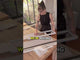 Cat Door, Cat Window Insert