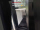 Pet Door Insert – Great Dane