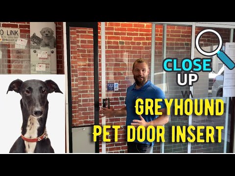 Pet Door Insert – Greyhound